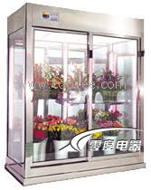 供应鲜花保鲜柜