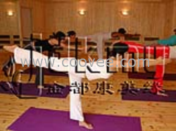 供应热瑜伽、高温瑜伽房、高温瑜伽设备、频谱高温瑜伽、岩盘高温瑜伽现场制作及设备()