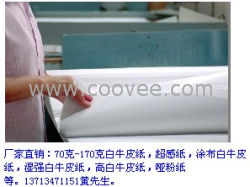 供应哑粉纸