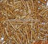 供应颗粒状生物质燃料