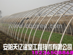 供应新一代无支柱大棚骨架天亿温室工程
