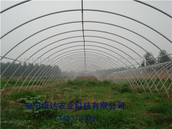 供应大棚骨架机