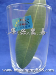 供应广华钢化杯