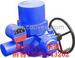 供应阀门电动装置，DQW10,DQW20,DQW30,DQW45,DQW60,DQW90,DQW12
