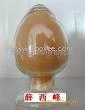 供应巴戟天提取物