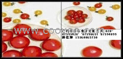 供应三星新款82&rdquo;液晶屏LTI820HT-L01