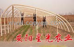 塑料大棚，注塑大棚支架机，星光农业公司