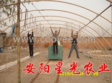 大棚骨架机 大棚骨架 大棚 星光农业