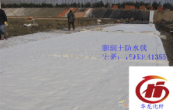 供应5000克GCL膨润土防水毯厂家 宋新