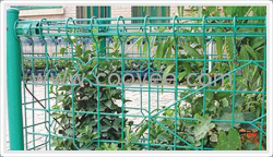 供应护栏网 双圈护栏网