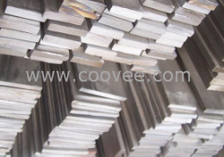 供应Z10CNT18-11不锈钢Z10CNT18-11钢棒
