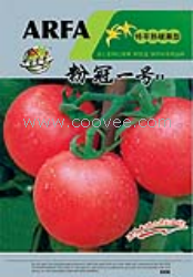 供应西红柿种子