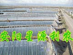 供应镀塑大棚支架 生态大棚支架 花卉大棚骨架 安阳星源利农