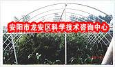 供应新一代全自动无支柱蔬菜大棚骨架枝术