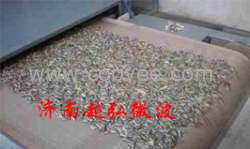 供应微波瓜子干燥设备