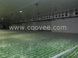 生物制药大型冷库