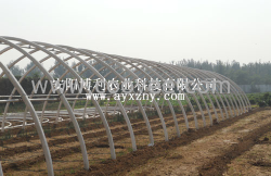 安阳博利农业建造温室大棚骨架 大棚骨架机