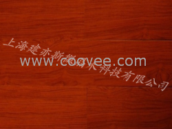 绿色环保，泡水地板  上海建亦斯