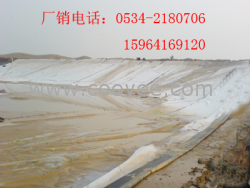 供应复合土工膜价格|人工养殖防渗土工膜