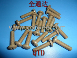M6&times;25 PEEK圆头十字螺丝