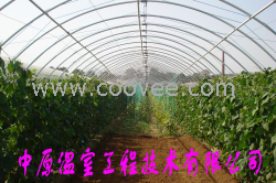 供应种植钢架大棚骨架 复合材料温室大棚 中原温室工程