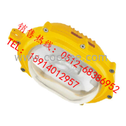 供应BFY6210B内场强光防爆应急灯BFE8120