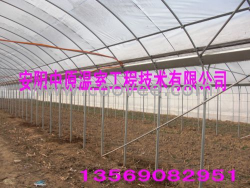 供应钢塑覆膜大棚支架 蔬菜大棚骨架 中原温室工程