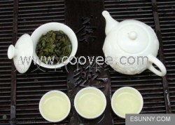 供应青茶铁观音 青茶乌龙茶批发 一斤起定
