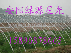 供应黄粉虫养殖大棚 花卉大棚骨架机 安阳绿源星光