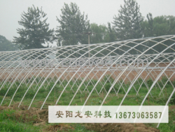供应湖南长沙蔬菜大棚骨架
