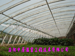 供应钢管腹膜大棚骨架 中原温室工程