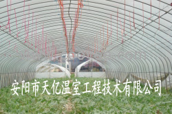 供应智能钢管镀塑大棚 钢管镀塑钢架大棚骨架机 天亿温室工程