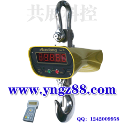 玉林直视吊秤/梧州电子吊钩秤/贺州耐高温吊钩秤/广西吊秤厂家