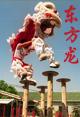 邀请舞狮队深圳舞狮活动表演福田舞狮南山舞龙宝安龙岗区开业庆典舞狮子队