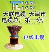 供应NH&mdash;HPVP耐火通信电缆/NH&mdash;HYVP耐火音频信号电缆/NH&mdash;HPV 屏蔽耐火电缆