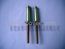 供应海马拉钉，灯笼拉钉，大帽沿拉钉，拉钉，铆螺母