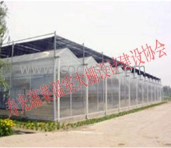 承建温室大棚建设&mdash;&mdash;蔬菜温室大棚协会13625367345