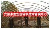 各种蔬菜大棚.温室大棚建设