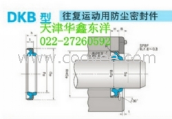 NOK&mdash;AR3976G防尘密封件DKB型
