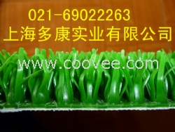 三菱粘金草