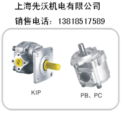 K1P1R11A齿轮泵