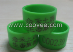 苏州家禽     用的鸡脚环批发  专卖