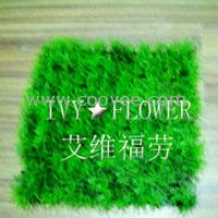 苏州办公室绿色植物租摆【臻然园艺优惠多多