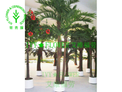 苏州花卉出租公司【臻然园艺优惠多多】
