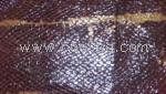 SBR&mdash;PU高发泡&mdash;EVA高发泡&mdash;无锡英