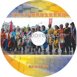 上海光盘印刷，光盘印刷上海，上海光盘复制