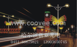 LED灯杆造型灯 哈尔滨市新亚光电器材厂