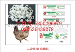 防伪禽类脚环追根溯源鸡脚环二维码标识
