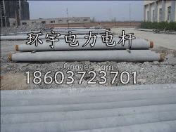 安阳环宇预应力电杆，价格低廉，品质优良