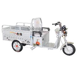 金彭神鹰5电动三轮车-金彭神鹰系列